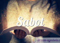 Sabot