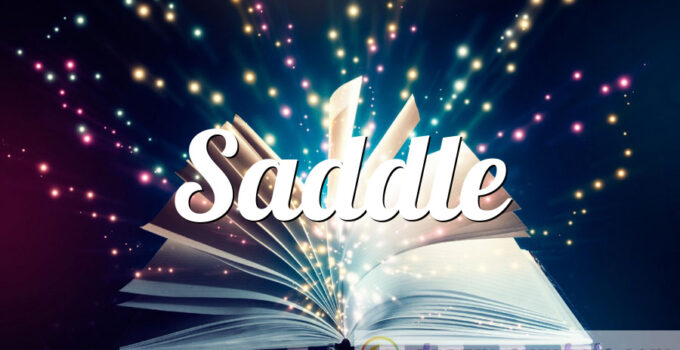 Saddle