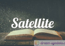 Satellite