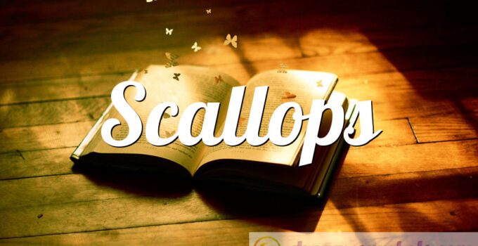Scallops