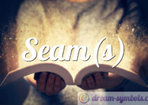 Seam(s)