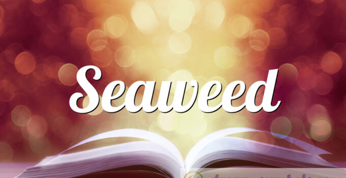 Seaweed