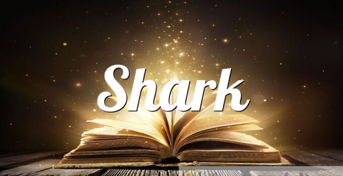 Shark