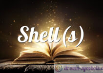 Shell(s)