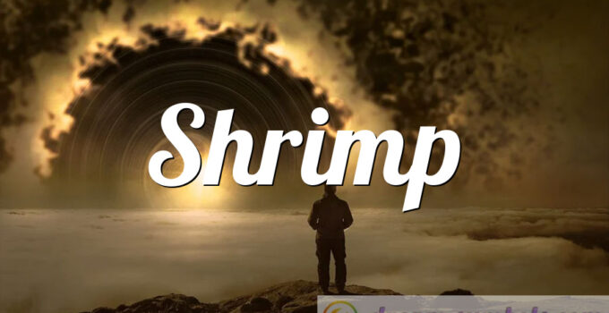 Shrimp