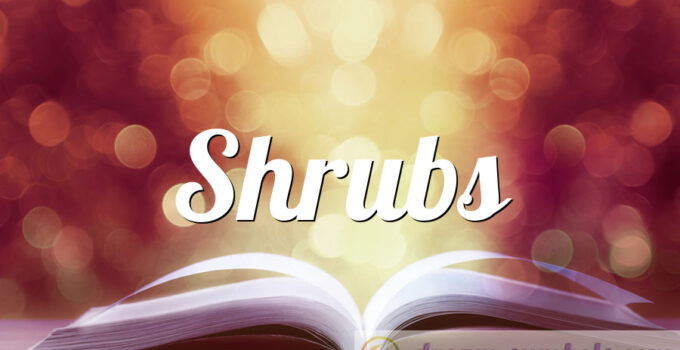 Shrubs