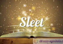 Sleet