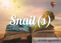 Snail(s)
