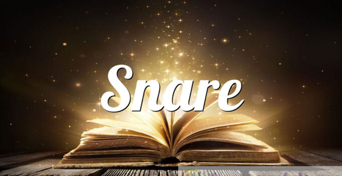 Snare