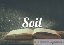 Soil