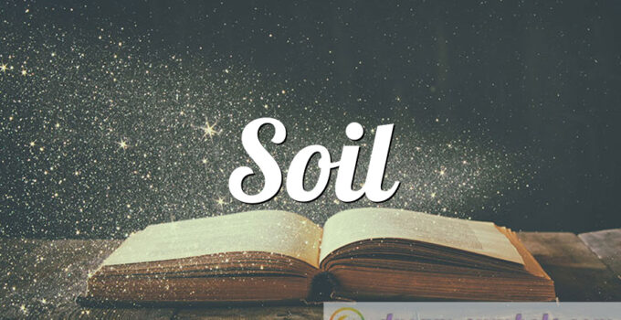 Soil