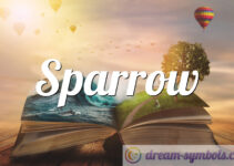 Sparrow