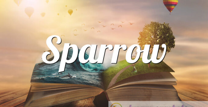 Sparrow
