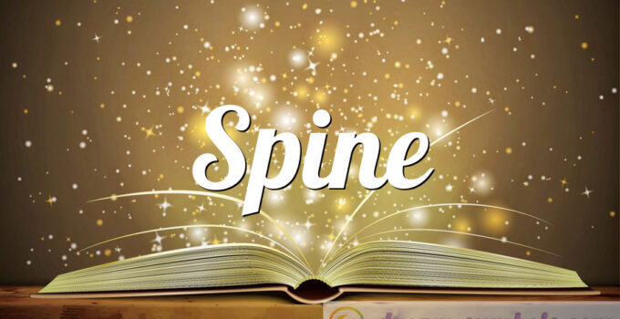 Spine