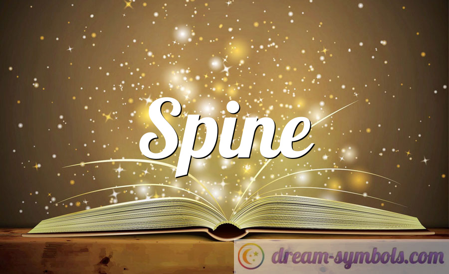 Spine