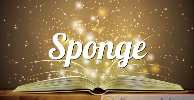 Sponge