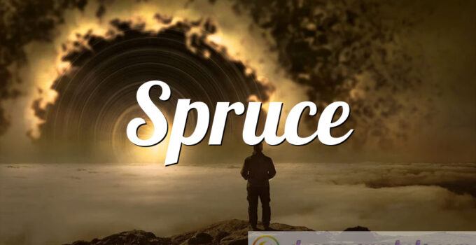 Spruce