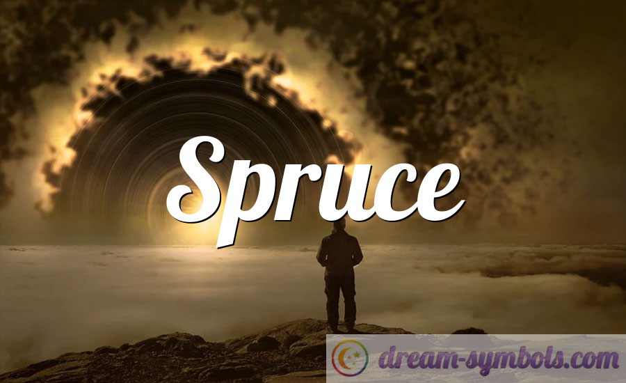 Spruce