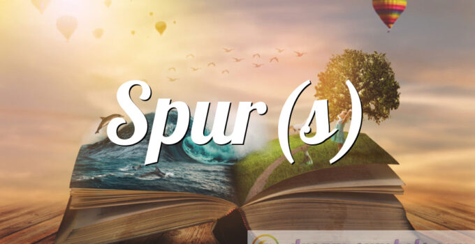 Spur(s)