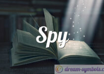 Spy