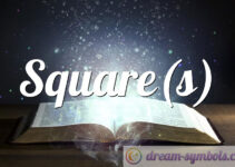 Square(s)