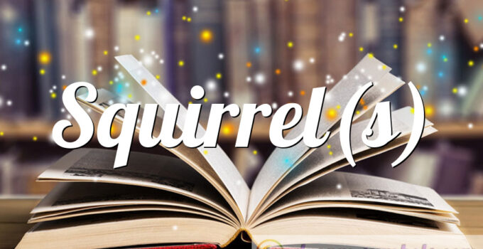 Squirrel(s)