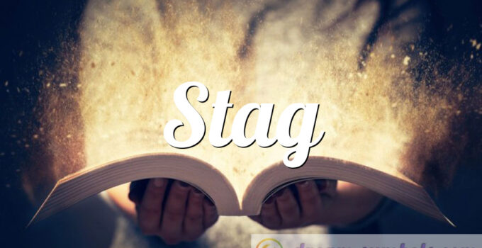Stag