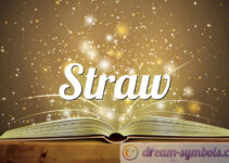 Straw