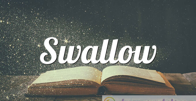 Swallow