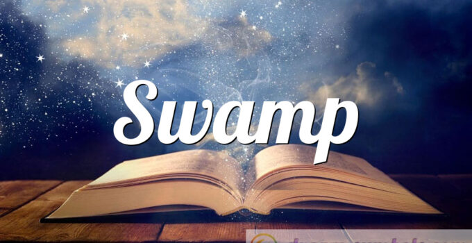 Swamp