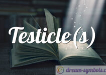 Testicle(s)