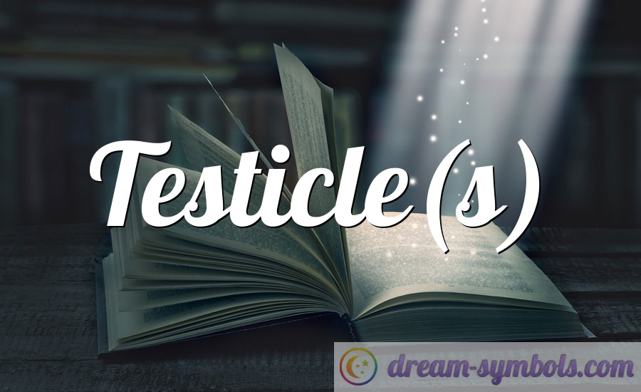 Testicle(s)
