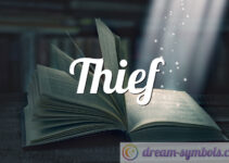Thief