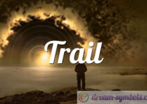 Trail