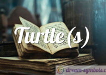 Turtle(s)