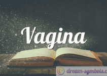 Vagina