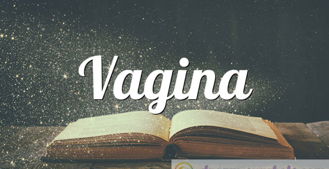 Vagina