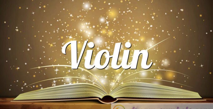 Violin