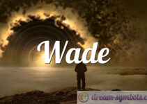Wade