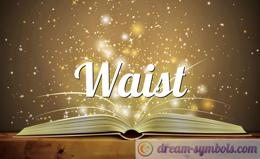 Waist