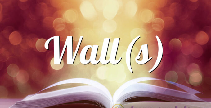 Wall(s)