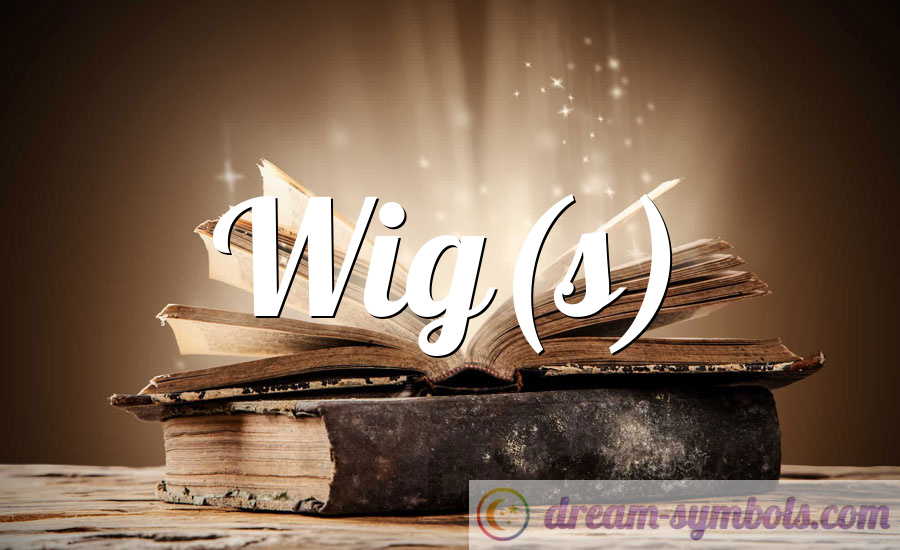 Wig(s) Dream Meaning and interpretation