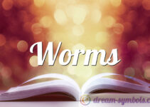 Worms