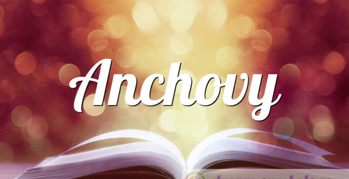 Anchovy