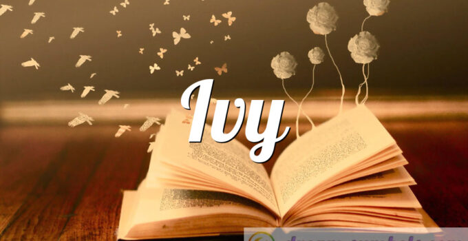 Ivy