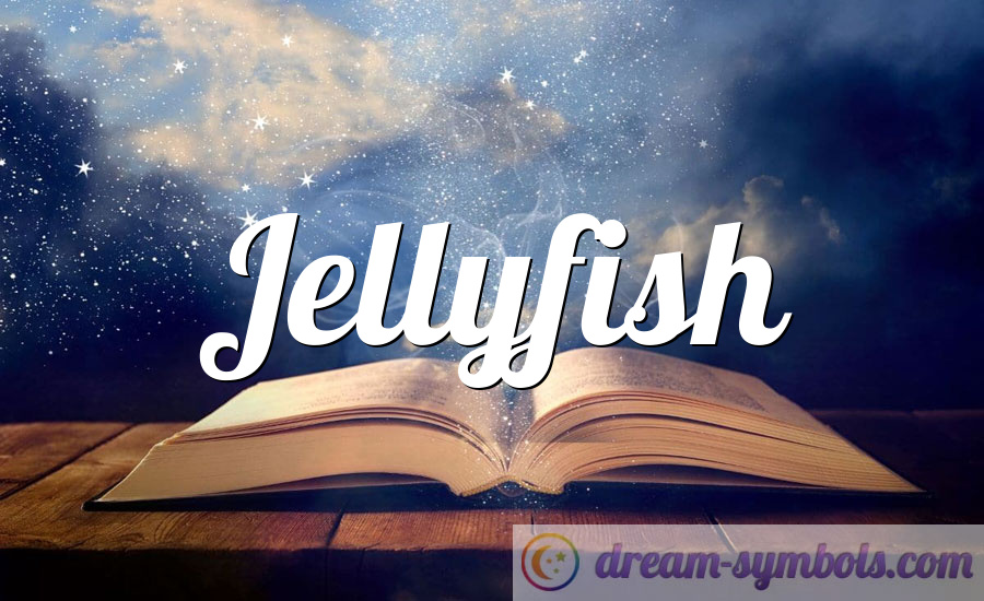 Jellyfish