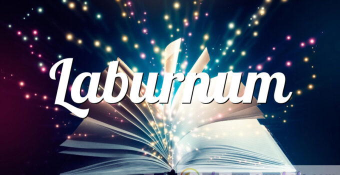 Laburnum