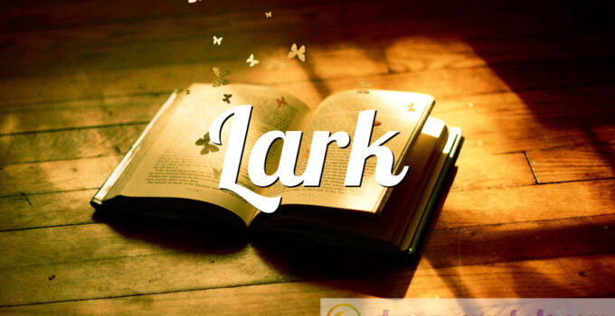 Lark