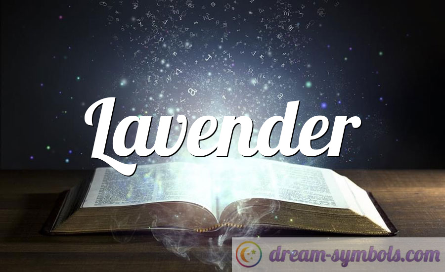 Lavender