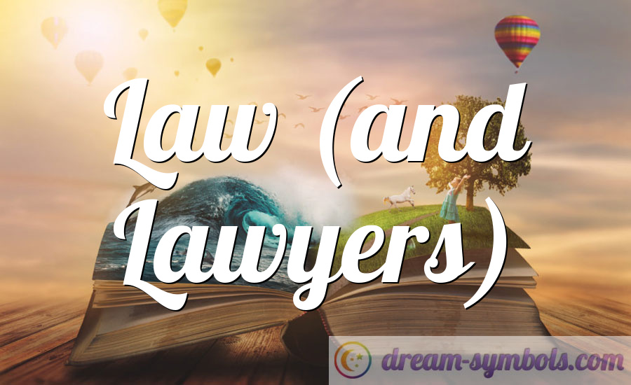Law (and Lawyers)